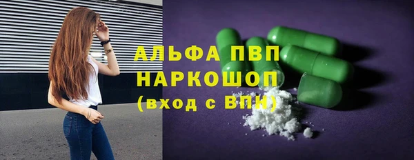 ECSTASY Белокуриха